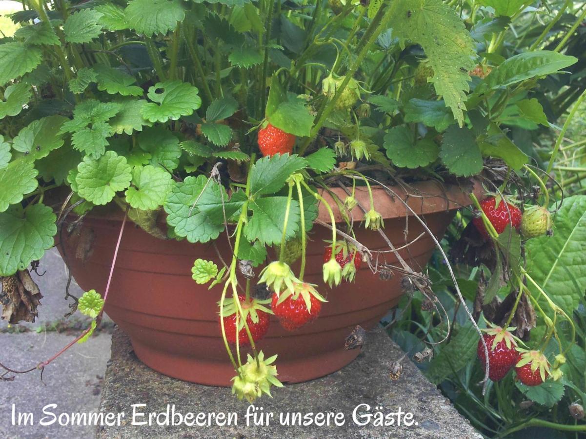 Ferienwohnung Am Ellerbach Hessisch Oldendorf Dış mekan fotoğraf